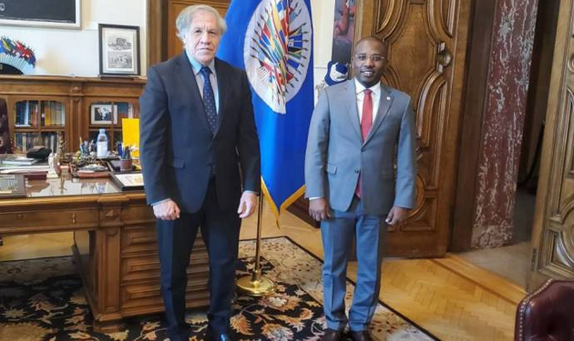 Mission de l’OEA: des acteurs politiques se positionnent